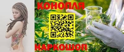 индика Можга