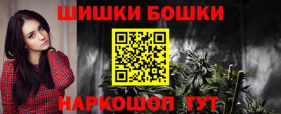 индика Можга