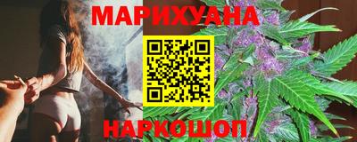 сатива Можайск
