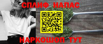 индика Можга