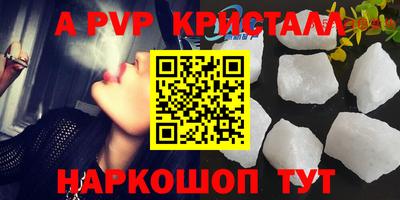 индика Можга