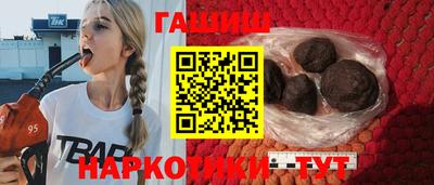 индика Можга