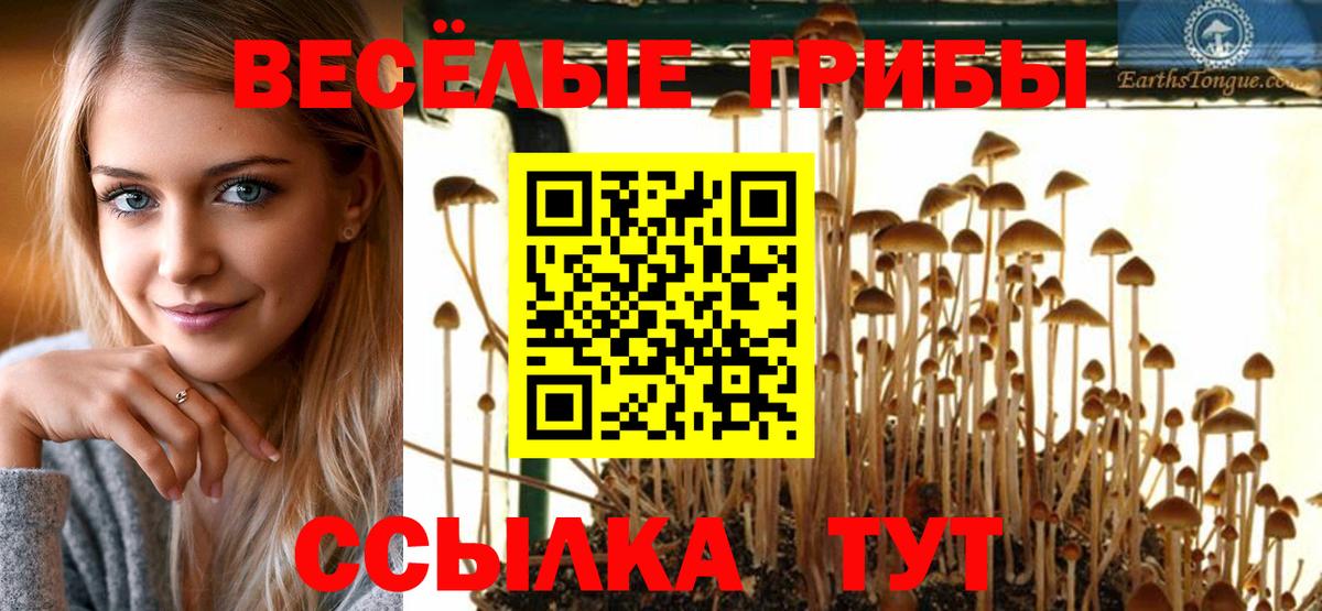 Псилоцибиновые грибы прущие грибы Сунжа