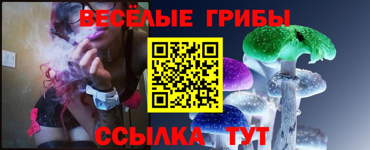 Сунжа  Галлюциногенные грибы Psilocybine cubensis  где можно купить   Вход с VPN 
